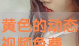 动态黄色视频,背后真相与警示