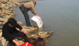 放生视频,人与自然和谐共生的美好瞬间